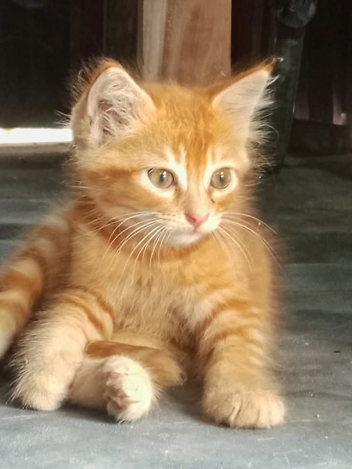 bgfnhgdmutkyumm yumyu km u km 6uk u u